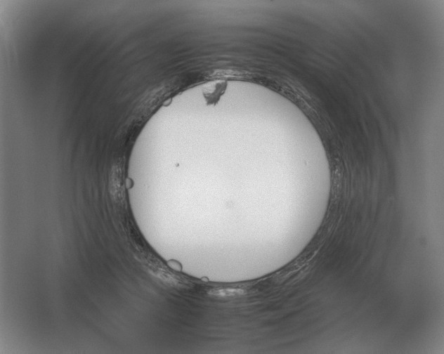 X0000062920361200601271811