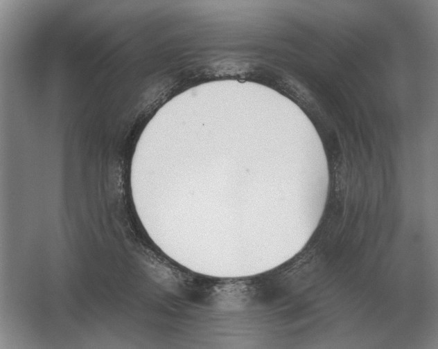 X0000062920362200601271811