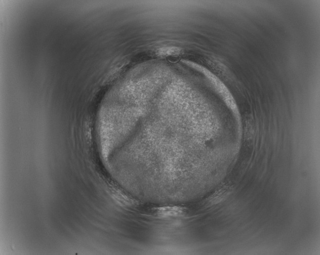 X0000062920363200601271811