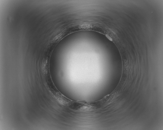 X0000062920364200601271811