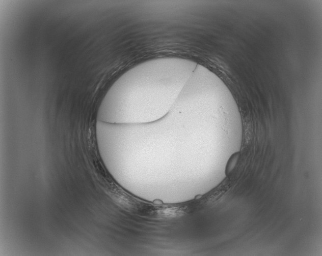 X0000062920365200601271811