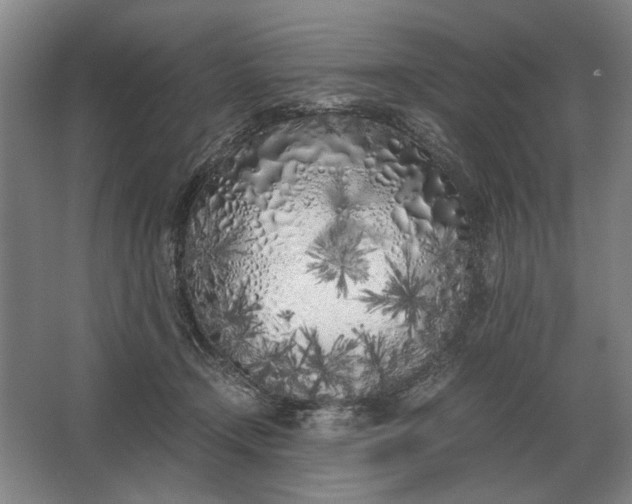 X0000062920366200601271811