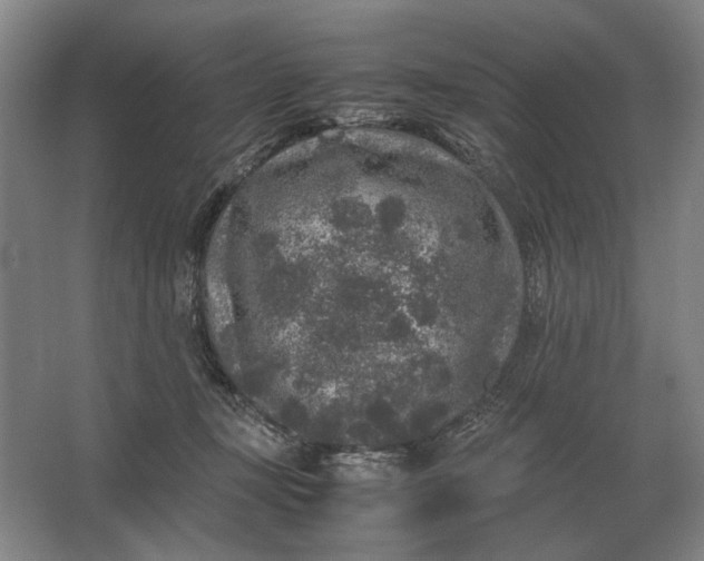 X0000062920367200601271811