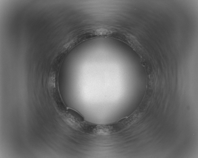 X0000062920368200601271811