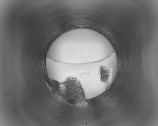 X0000062920369200601271811