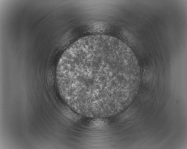 X0000062920370200601271811