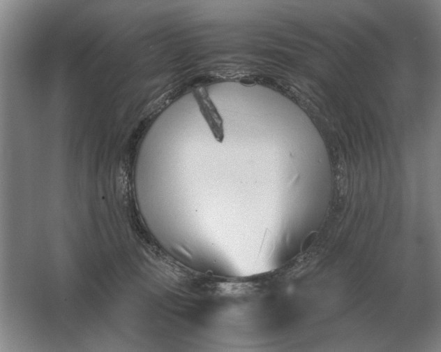 X0000062920371200601271811