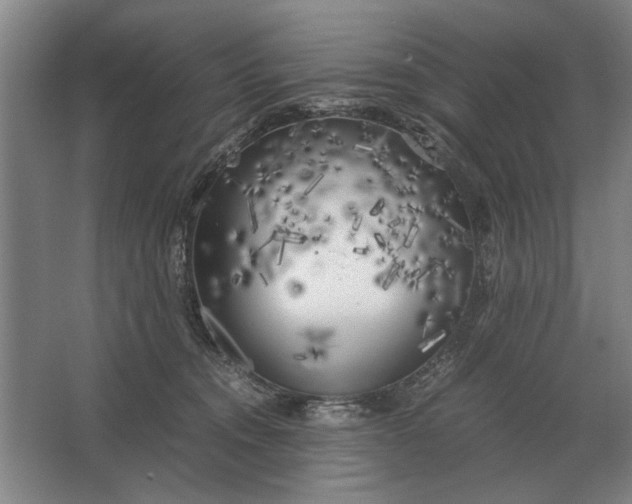 X0000062920372200601271811