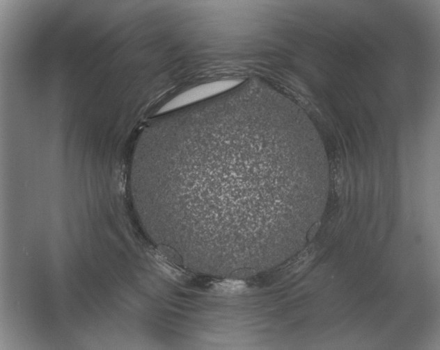 X0000062920374200601271811