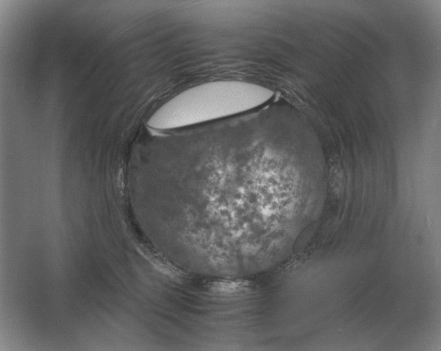 X0000062920375200601271811