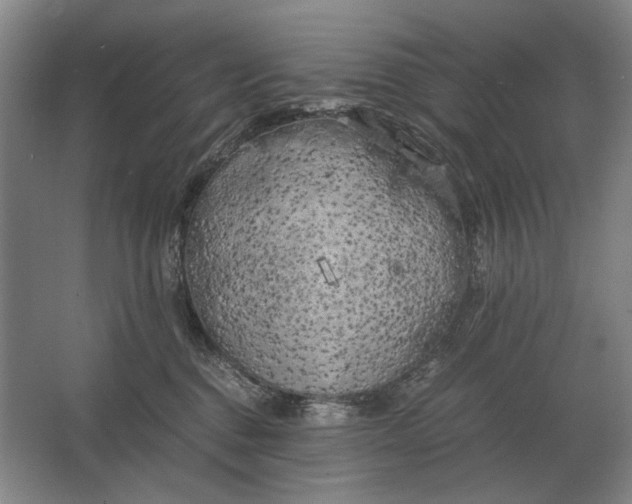 X0000062920376200601271811