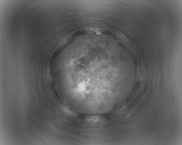 X0000062920377200601271811