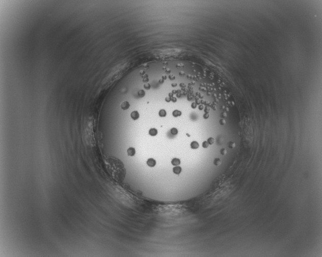 X0000062920378200601271811