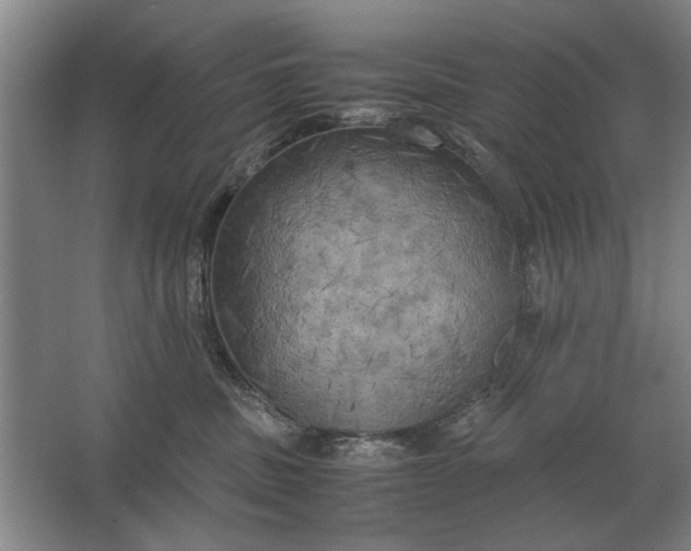 X0000062920379200601271811