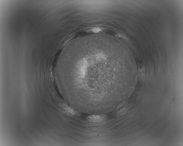 X0000062920381200601271811