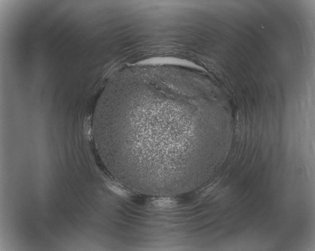 X0000062920383200601271812