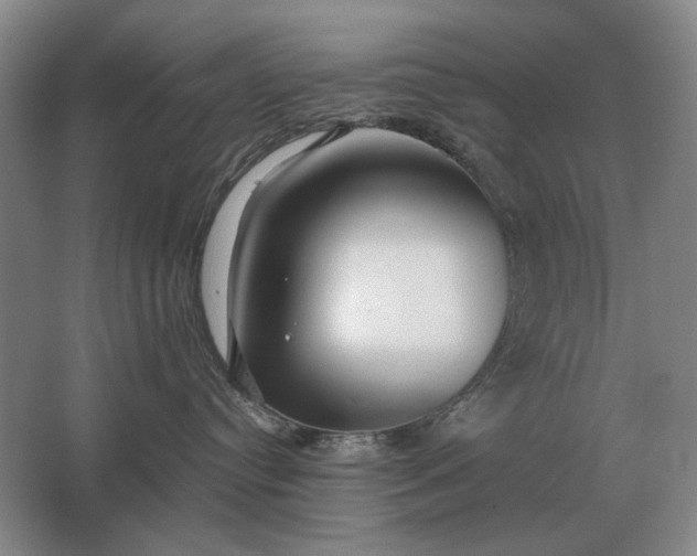 X0000062920384200601271812