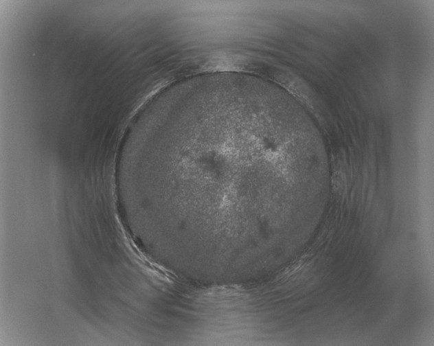 X0000062920386200601271811