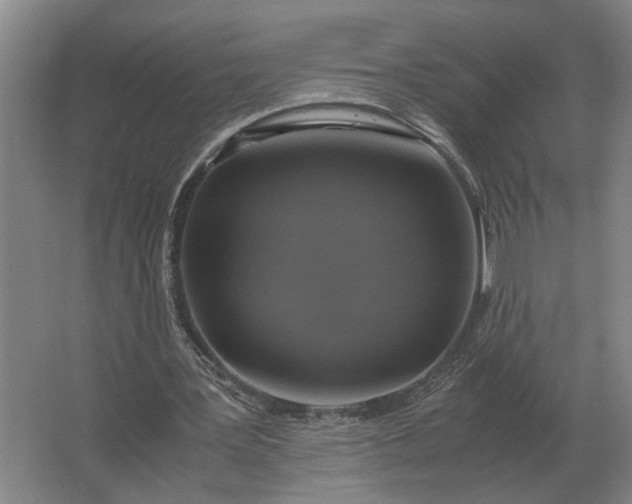 X0000062920387200601271811