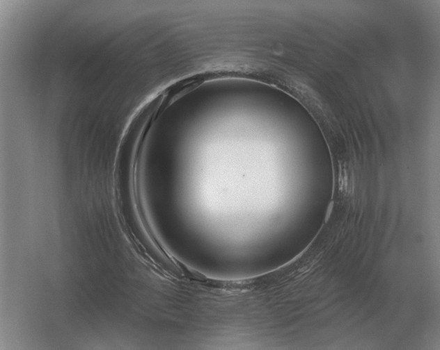 X0000062920388200601271811