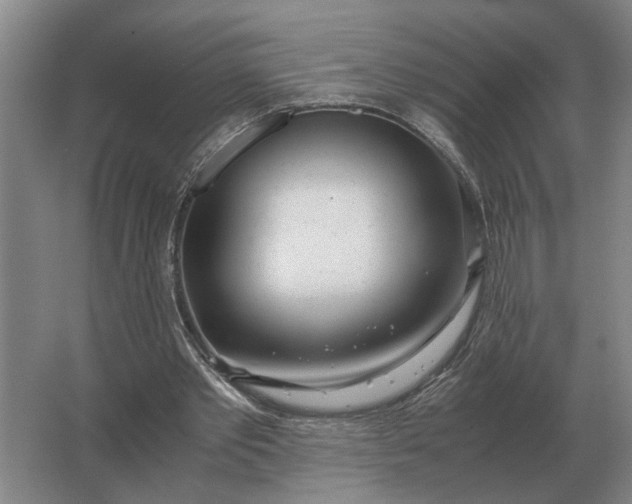 X0000062920389200601271811