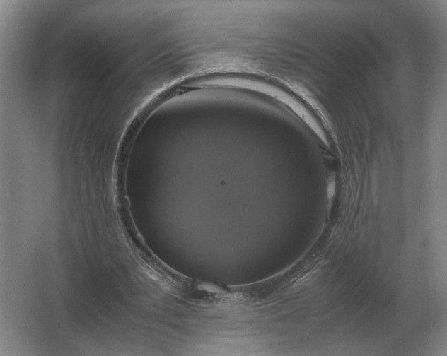 X0000062920391200601271811