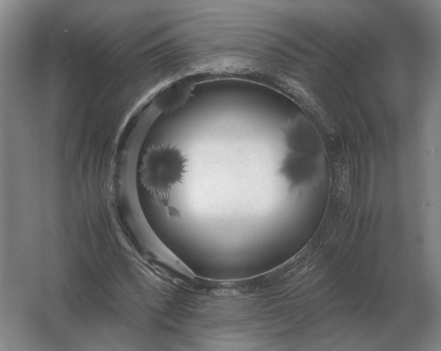 X0000062920392200601271811