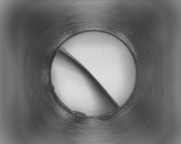 X0000062920393200601271811