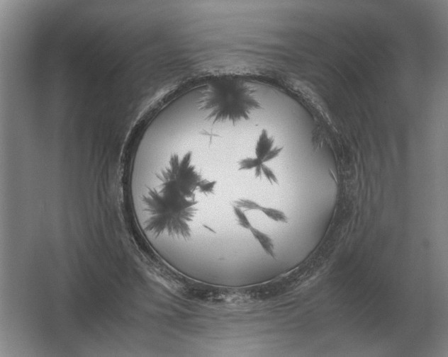 X0000062920395200601271811