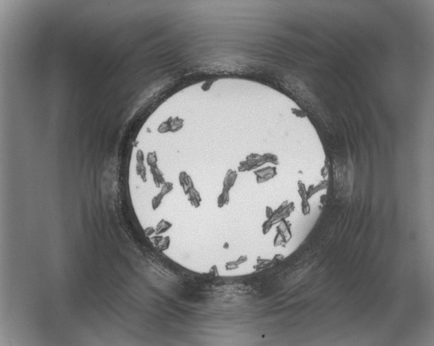 X0000062920396200601271811