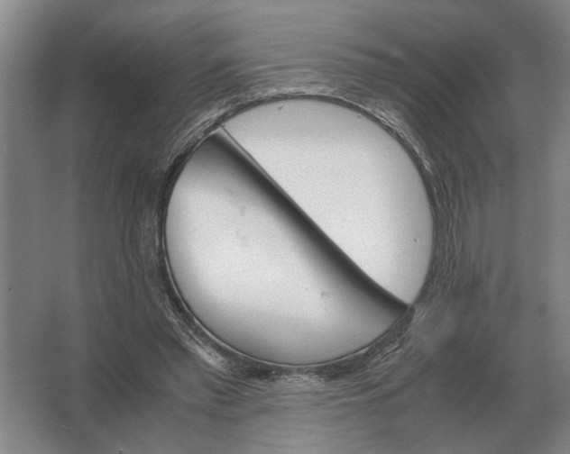 X0000062920397200601271811