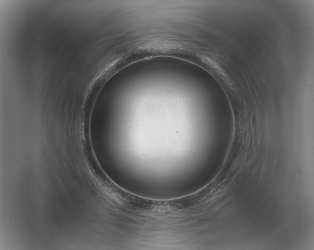 X0000062920399200601271810