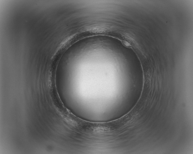 X0000062920400200601271810