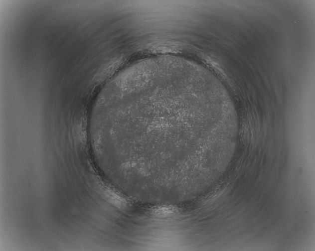 X0000062920402200601271810