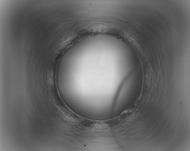 X0000062920403200601271810