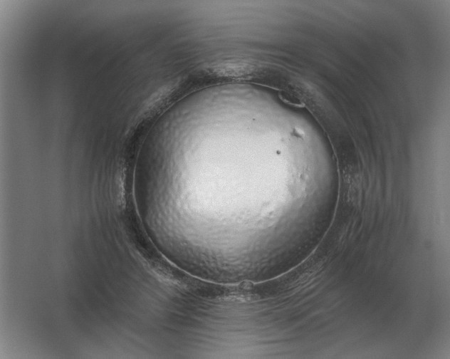 X0000062920404200601271810