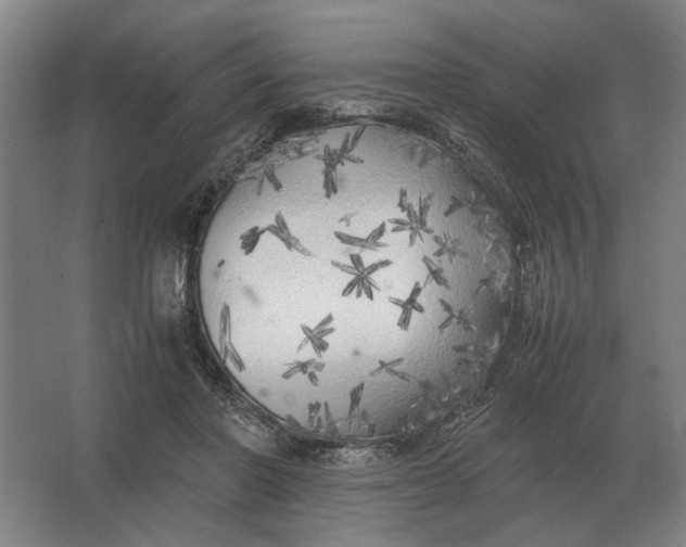 X0000062920406200601271810