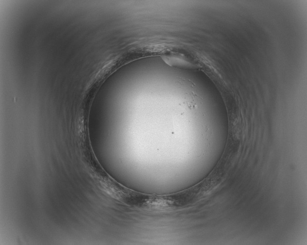 X0000062920407200601271810