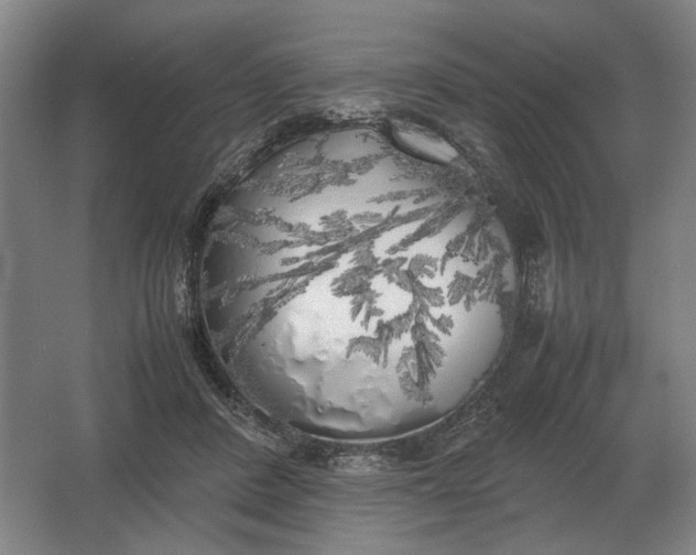 X0000062920408200601271810