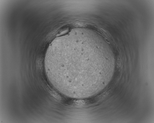 X0000062920409200601271810