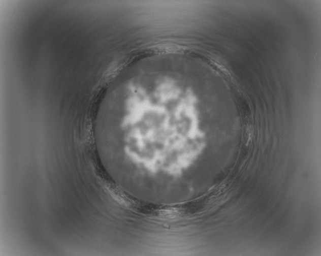 X0000062920411200601271810