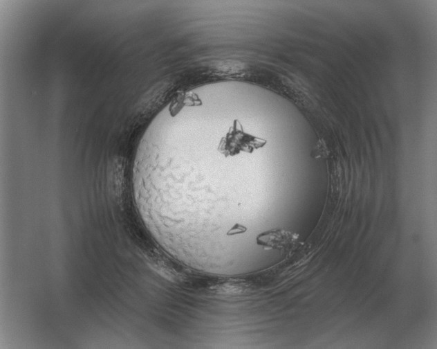 X0000062920412200601271810