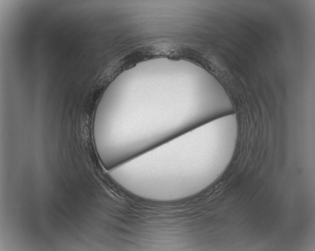 X0000062920413200601271810