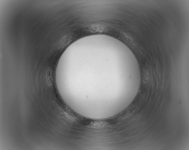 X0000062920414200601271810