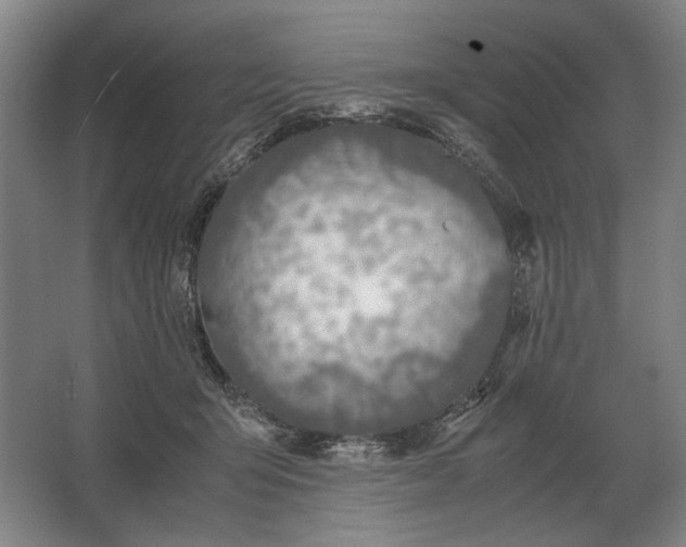 X0000062920415200601271810