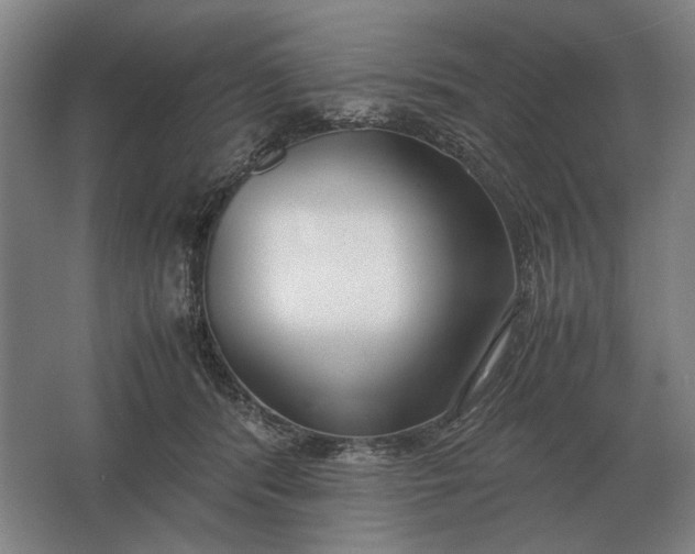 X0000062920416200601271810