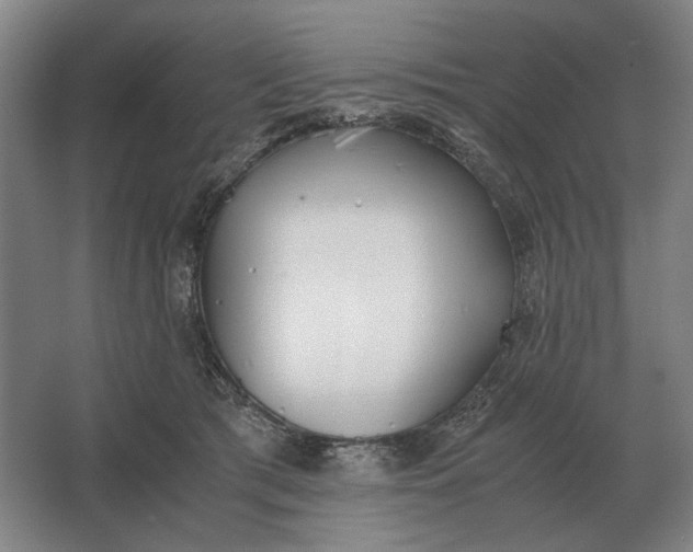 X0000062920417200601271810