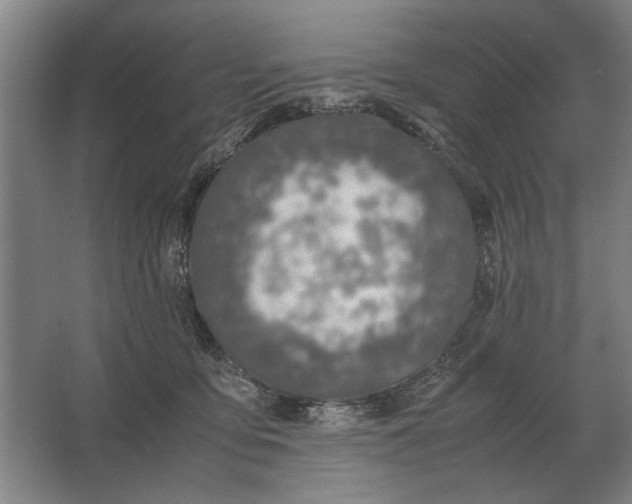 X0000062920419200601271810