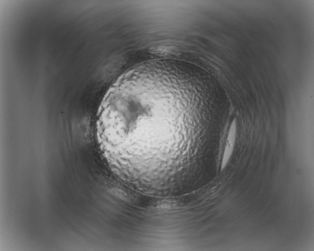 X0000062920420200601271810