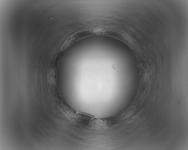 X0000062920421200601271810